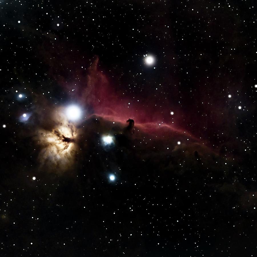 Horsehead and Flame Nebulae Photograph by The Cosmic Kiddo - Fine Art ...