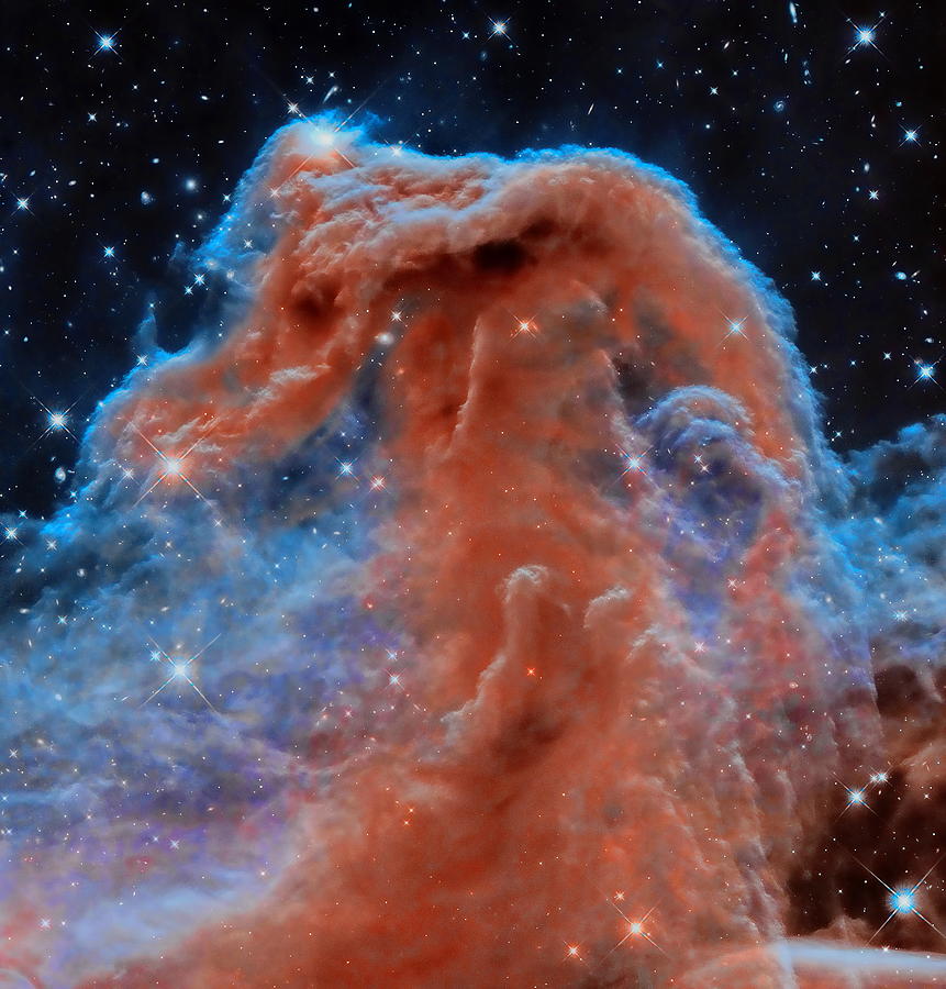 Horsehead Nebula Photograph by Dale Kauzlaric