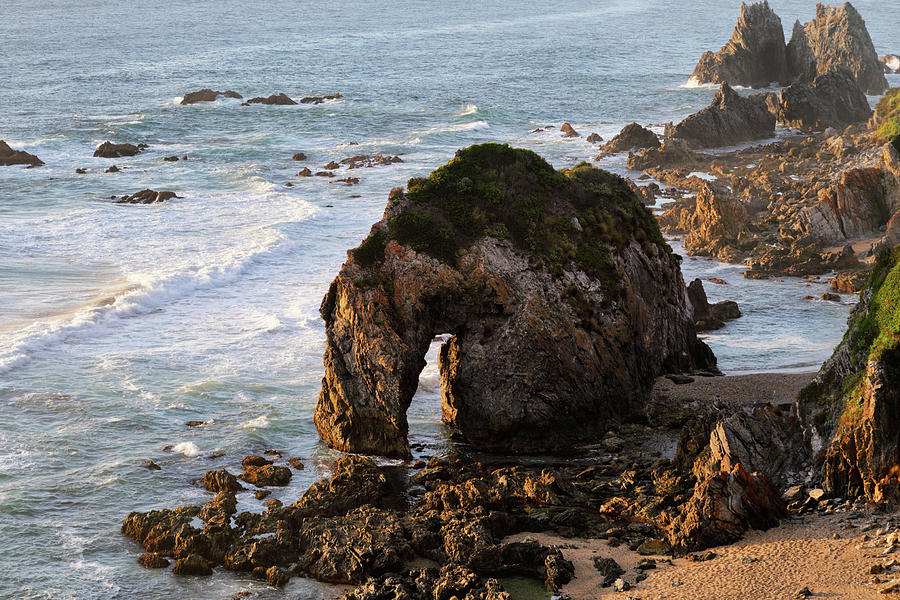 Horsehead Rock Photograph by Nicholas Blackwell