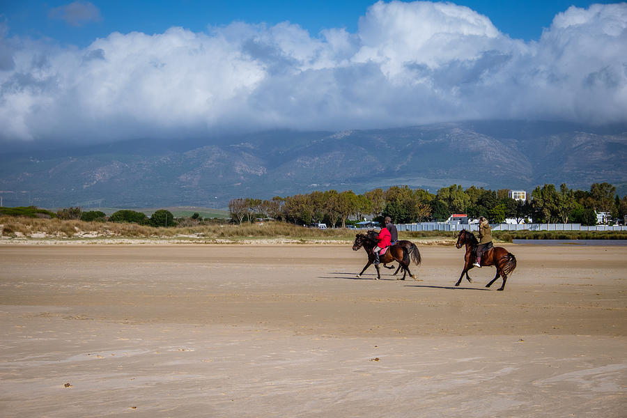 Horses and horseriding from riding school on the beach of Los Lanches in Tarifa Photograph by Finn Bjurvoll Hansen