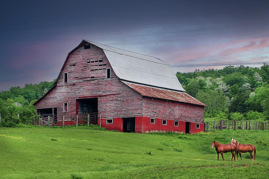Horses and Red Barn Photograph by Tony Colvin - Fine Art America