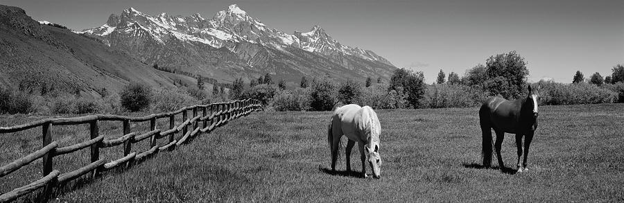 Horses and Teton Range Grand Teton National Park WY Photograph by Panoramic Images