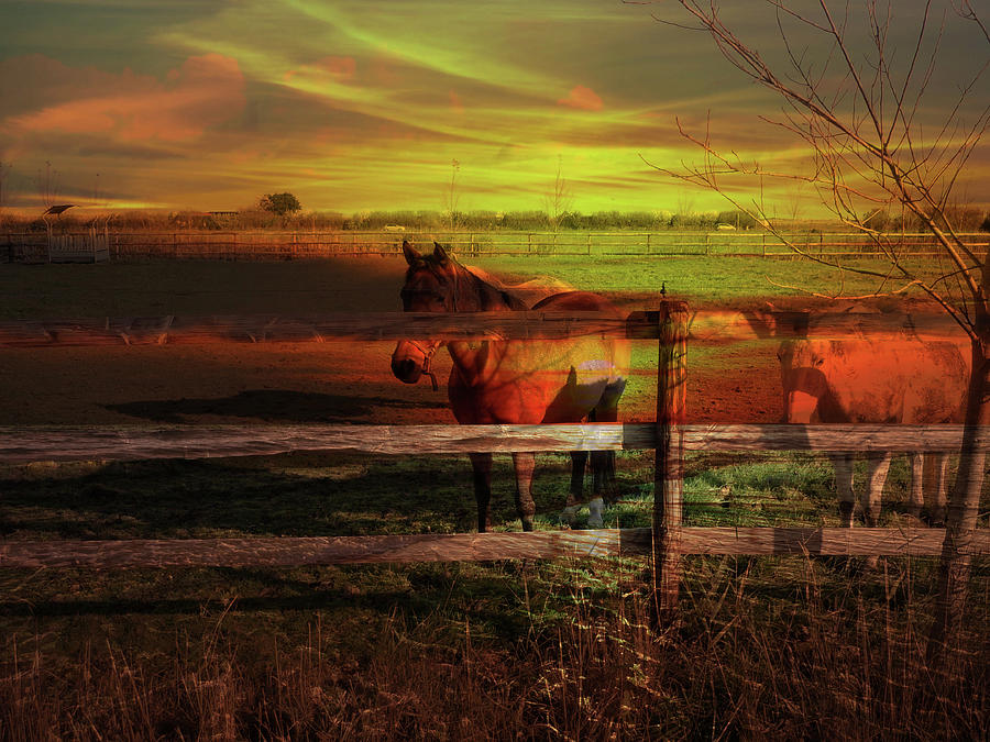 Horse Mixed Media - Horses at Sunset by Hope Mastroianni
