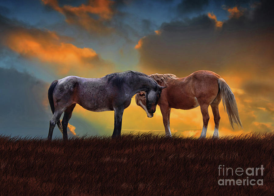 Horses Blue Roan Palomino Southwestern Sky Surreal Country Photograph by Stephanie Laird