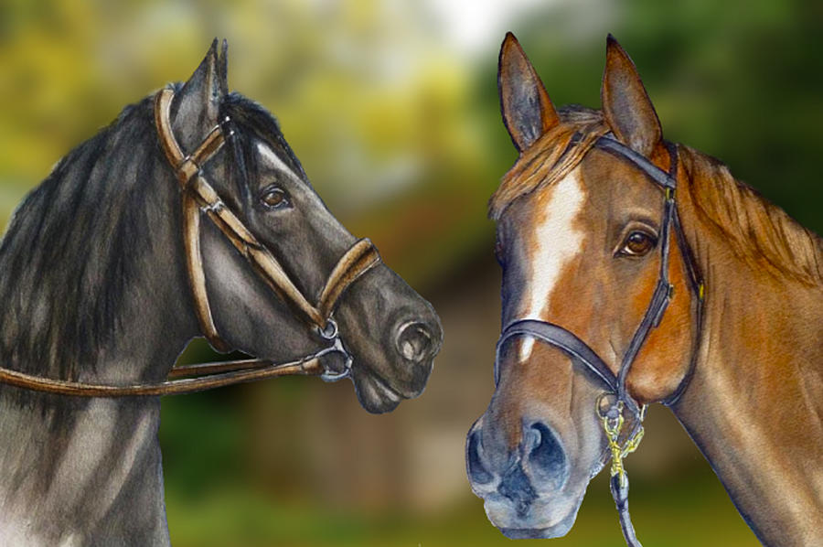 Horses Close-Up Mixed Media by Kelly Mills