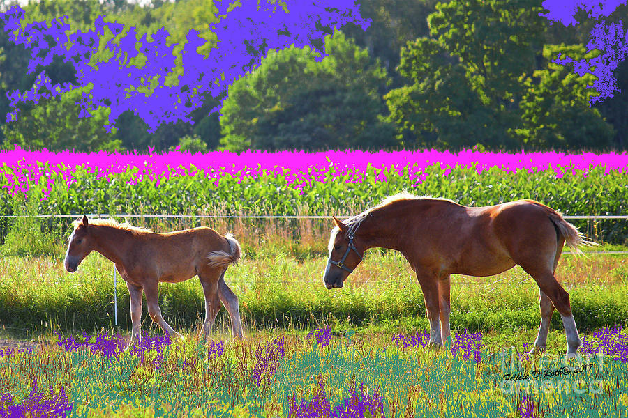 Horses Delight Photograph by Felicia Roth