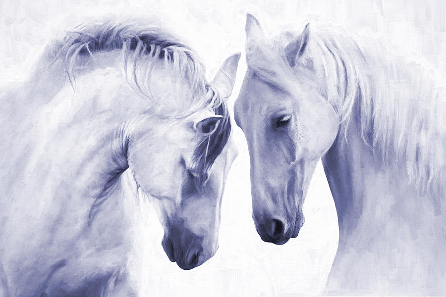 Horses Face to Face - duo tone blue Photograph by Steve Ladner