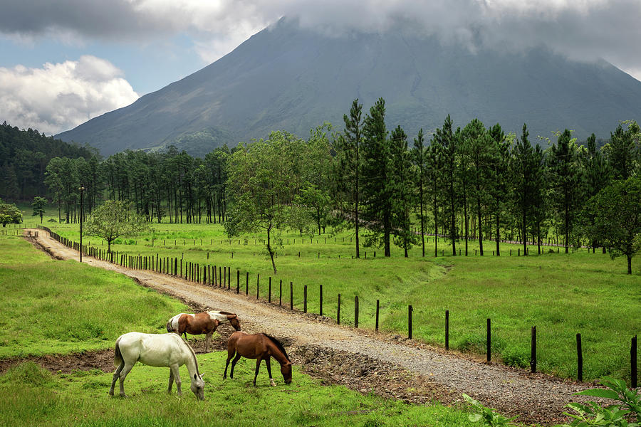 Horses in Front of Chato Volcano, Costa Rica #1 Photograph by Ron Pate