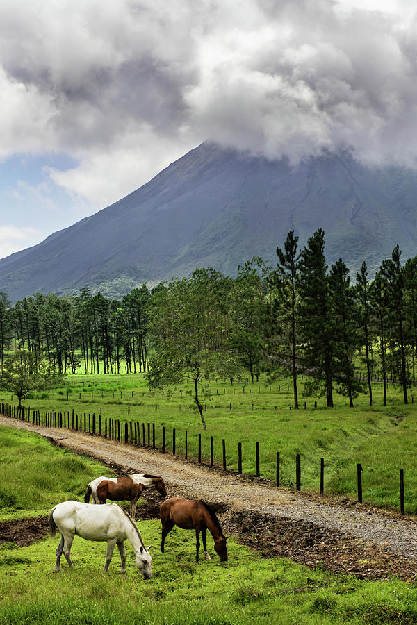 Horses in Front of Chato Volcano, Costa Rica #2 Photograph by Ron Pate
