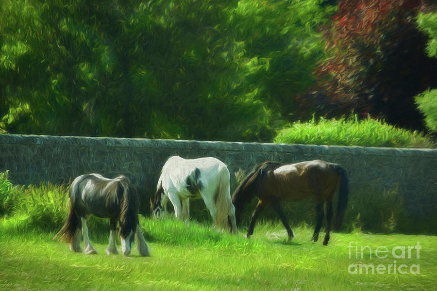 Horses in Green Pastures Photograph by Yvonne Johnstone