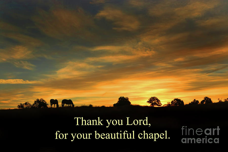 Horses in Sunrise the Lords Beautiful Chapel Photograph by Stephanie Laird
