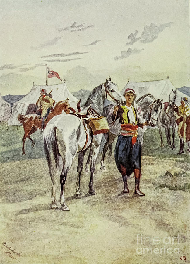 Horses in the British Camp k5 Drawing by Historic Illustrations