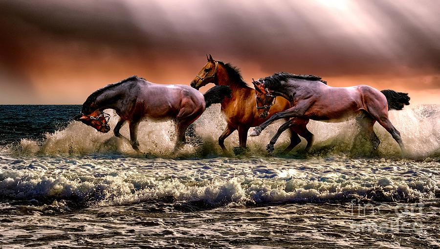 Horses in the Sunset Painting by Alexandra Arts