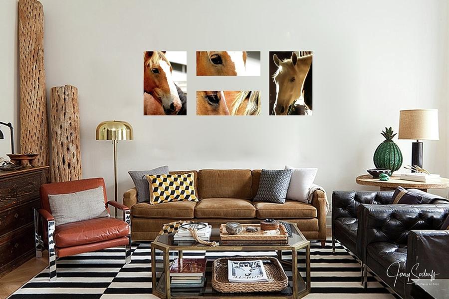 Example of horse portraits on the wall Photograph by Jerry Sodorff