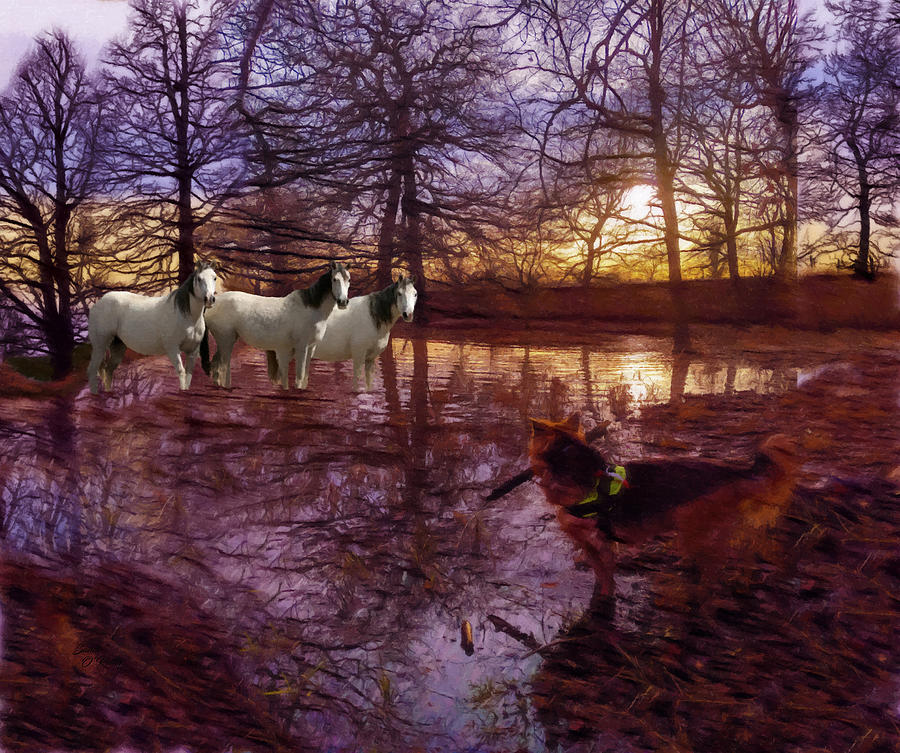 Horses Loose In the Flooded Area At Sunset Mixed Media by Sandi OReilly