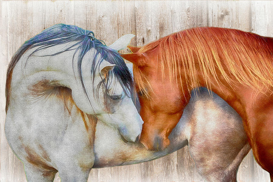 Horses Nuzzling Soft Colors Digital Art by Steve Ladner