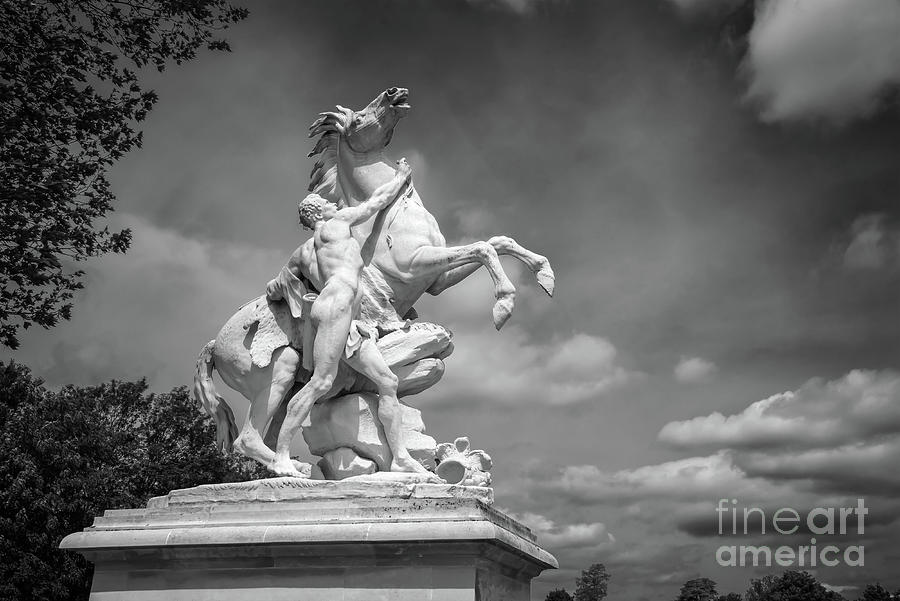 Horses of Marly sculpture, France Photograph by Delphimages Paris Photography