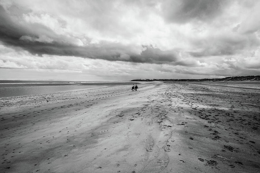 Horses on Blyth Beach Photograph by Richard Donovan