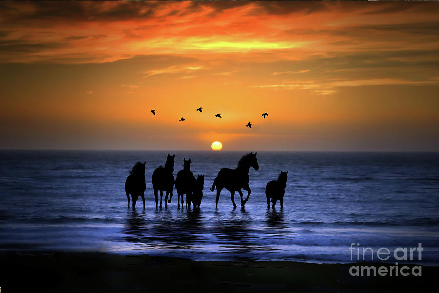 Horses on the Beach with Birds Running in the Ocean Water  Photograph by Stephanie Laird