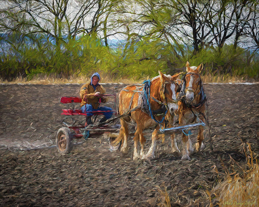 Horses Plowing 1 Photograph by Mike Penney