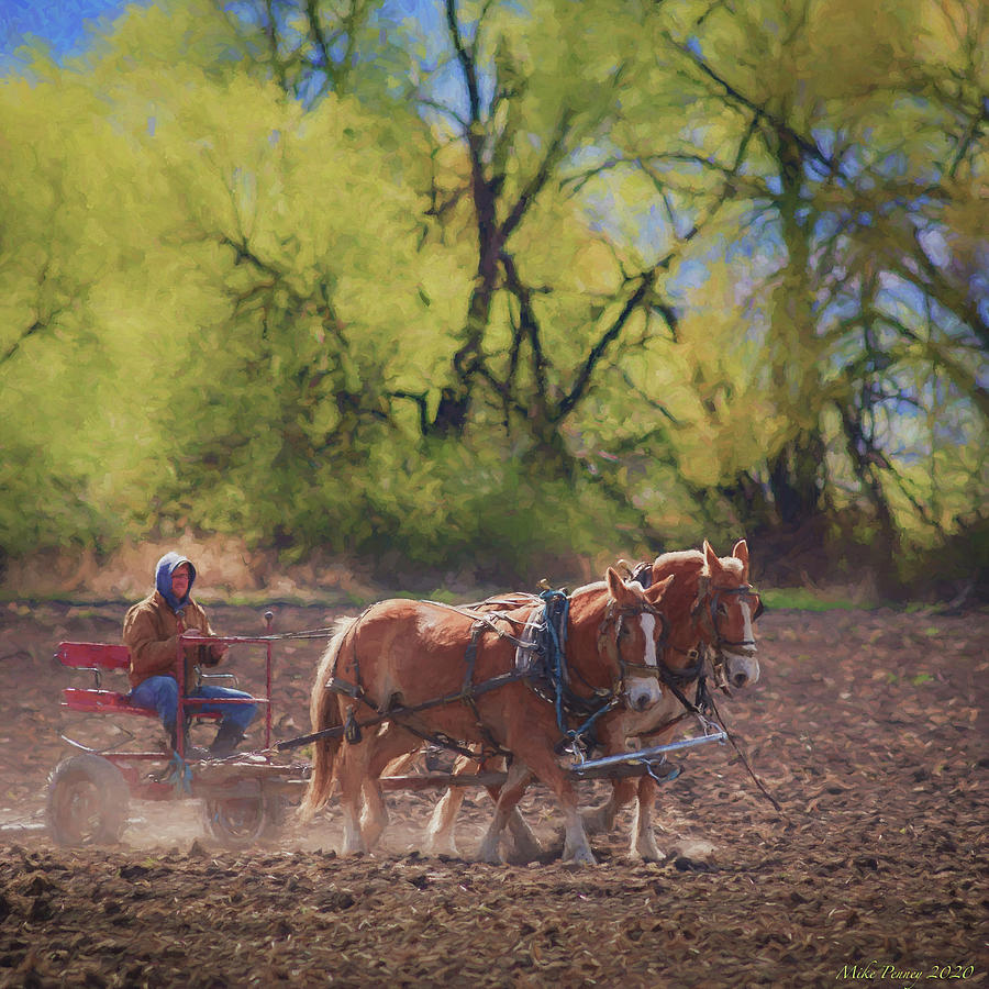 Horses Plowing 5 Photograph by Mike Penney