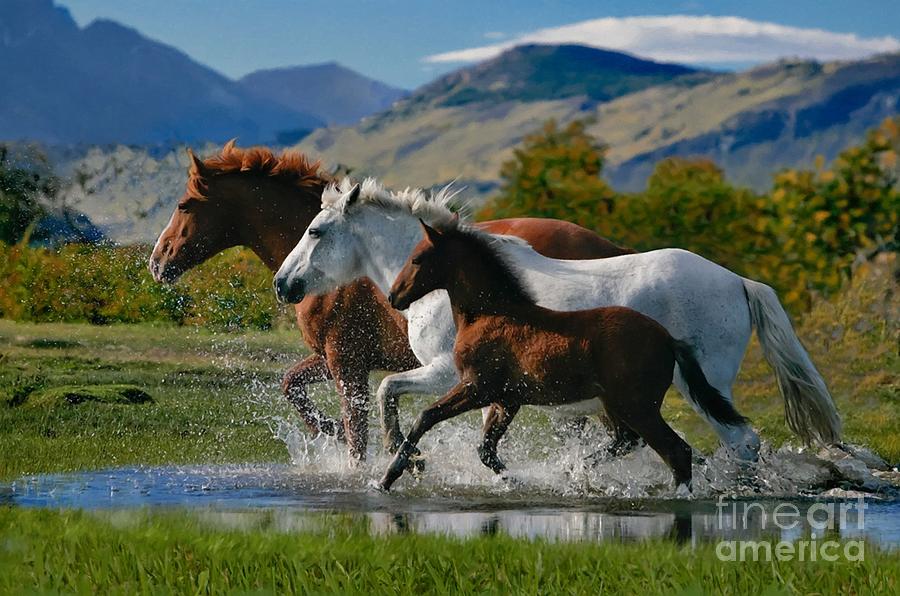 Horses Running Through Water  Mixed Media by Sandi OReilly