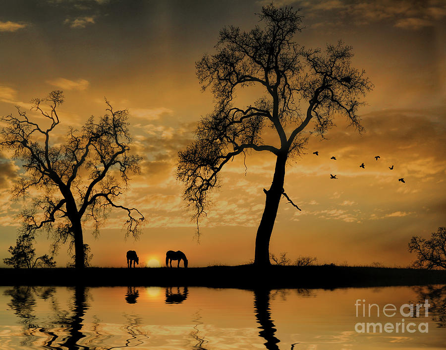 Horses Sunset with Water Oak Trees and Birds Photograph by Stephanie Laird