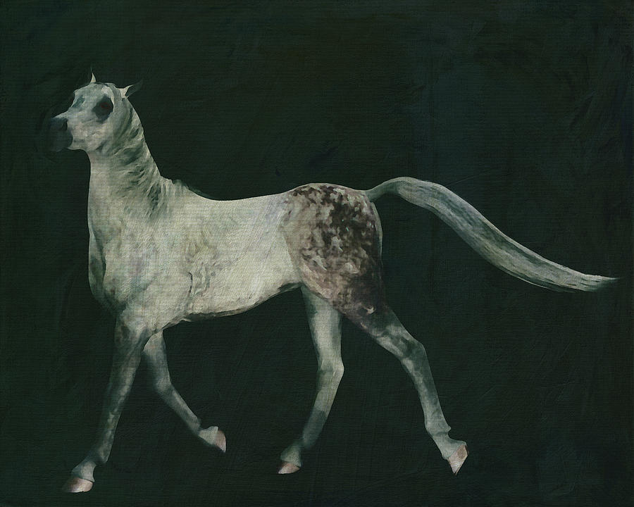 Horses -White horse doing dressage exercise Painting by Jan Keteleer