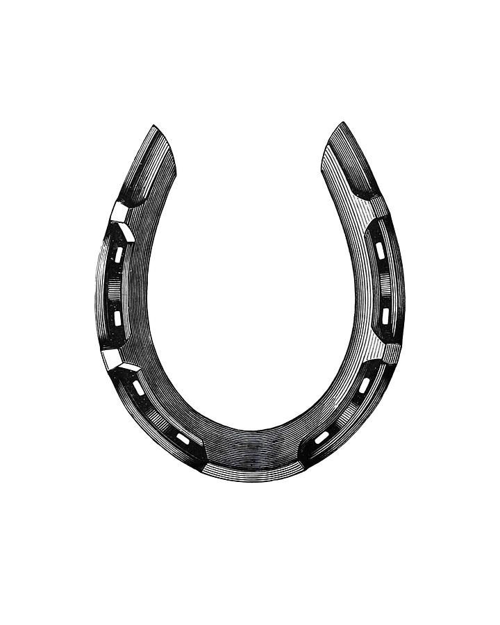 Horse Digital Art - Horseshoe in black and white by Madame Memento