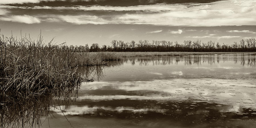 Horseshoe Lake IL GRK2080_01042019-HDR Photograph by Greg Kluempers