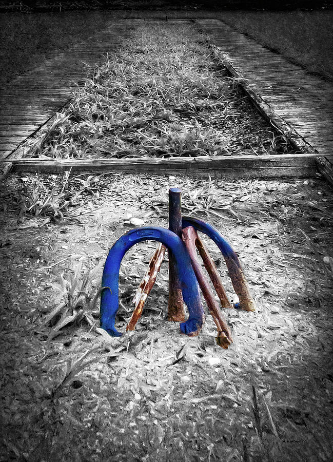 Horseshoes Color Select Photograph by Brian Wallace