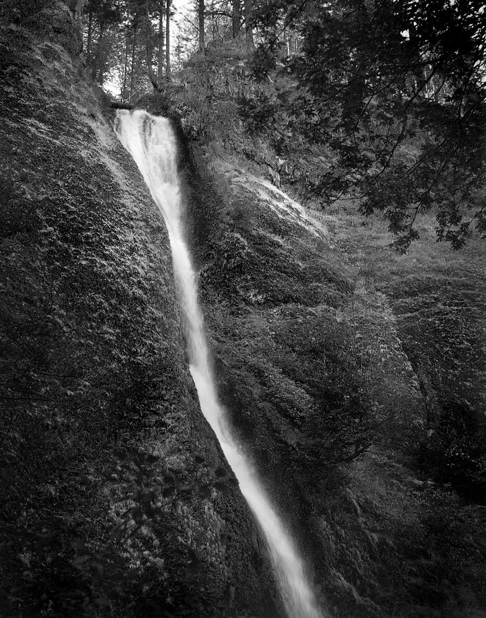 Horsetail Fall, OR in B/W - 2 Photograph by Rudy Umans