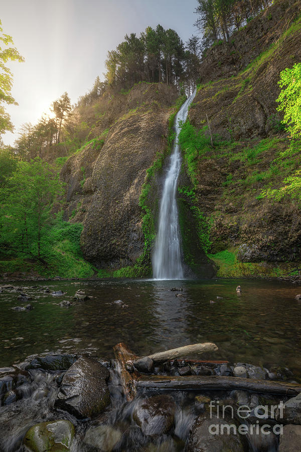Horsetail Falls  Photograph by Michael Ver Sprill