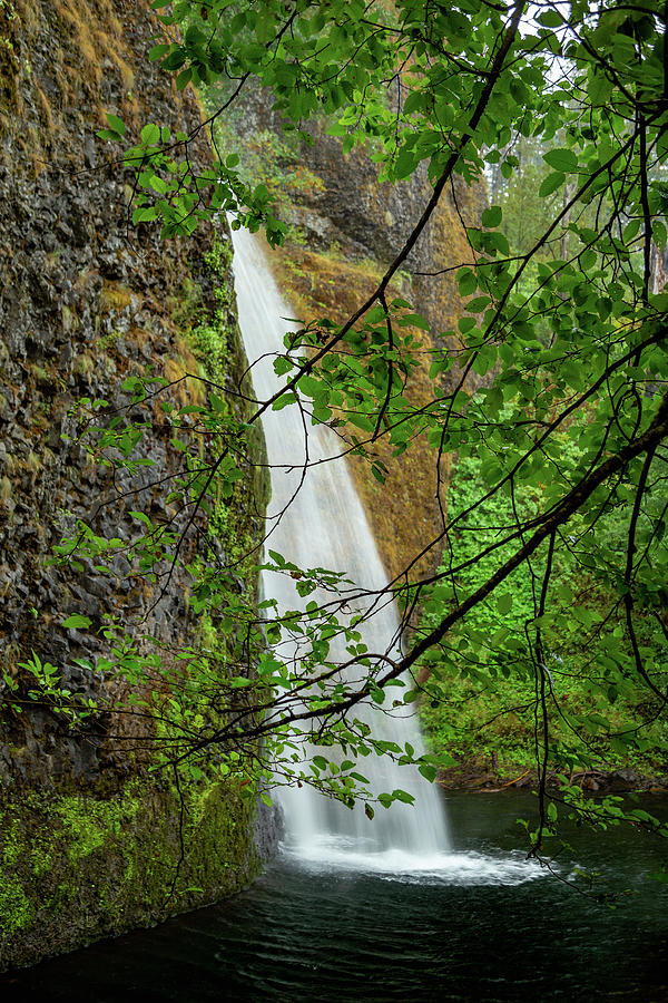 Horsetail Falls, Oregon 2 Photograph by Cindy Robinson