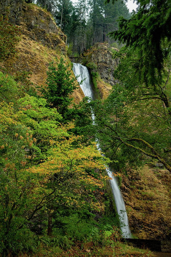Horsetail Falls, Oregon 4 Photograph by Cindy Robinson