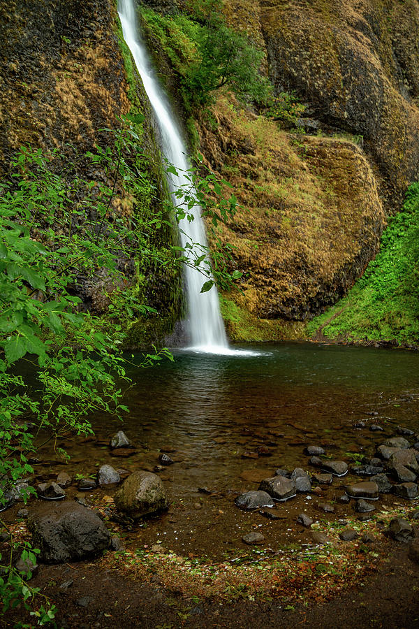 Horsetail Falls, Oregon Photograph by Cindy Robinson