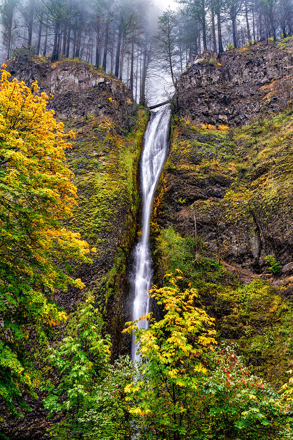 Horsetail Falls Photograph by Tom Grubbe