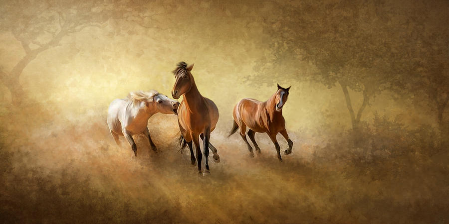 Commissioned Photograph - Horsing Around by Ann Lauwers
