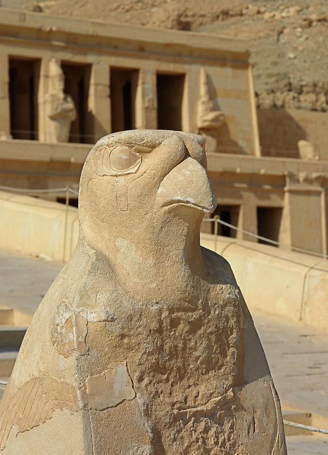 Horus statue at Temple of Hatshepsut in Egypt Photograph by Mikhail Kokhanchikov