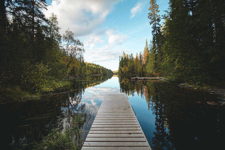Hossa national park, Finland Photograph by Vaclav Sonnek