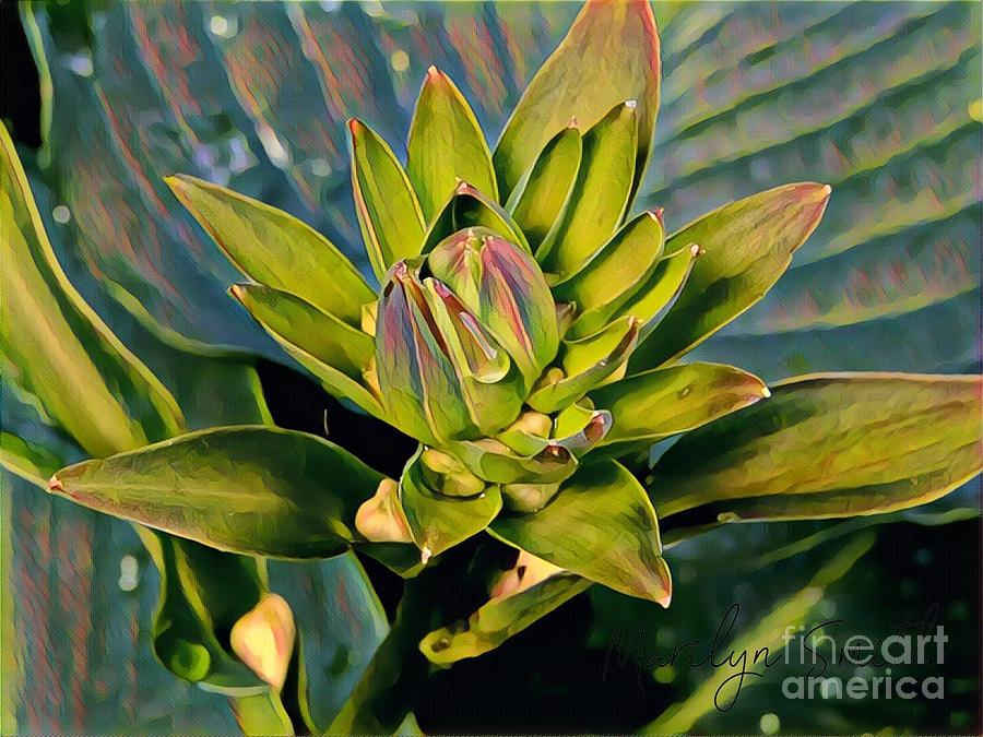 Hosta Bud Painting by Marilyn Smith