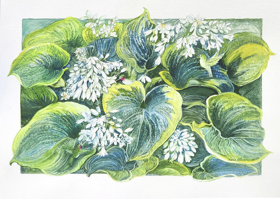 Hostas for Lunch  Painting by Lois Mountz