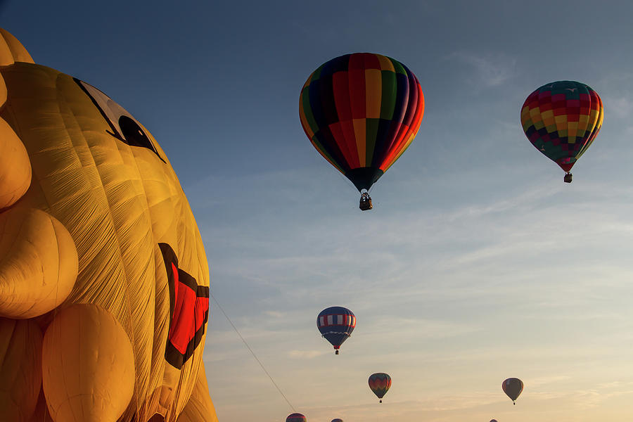 Hot Air Balloon 2354 Photograph by Deidre Elzer-Lento