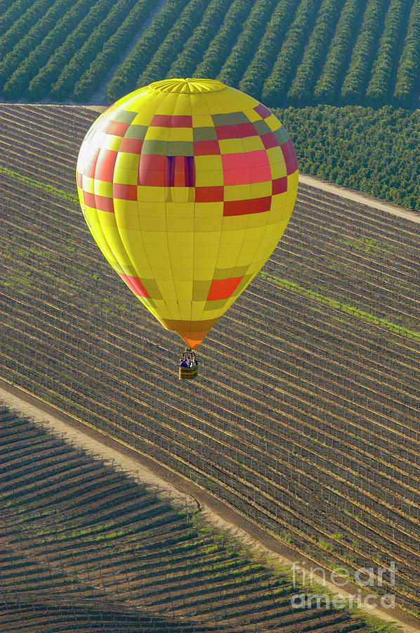 Hot air balloon flying over the Temecula, Valley. Photograph by Gunther Allen