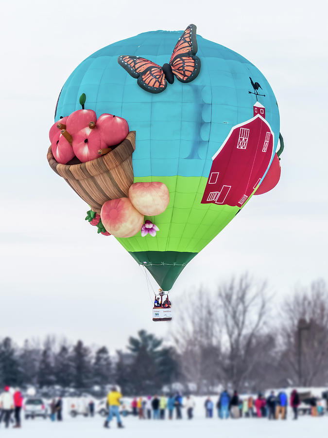 Hot Air Balloon Fun Photograph by Patti Deters