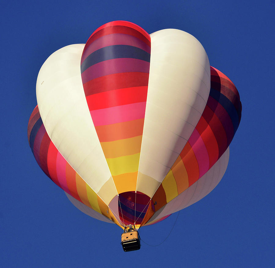 Hot air balloon work 9 Photograph by David Lee Thompson