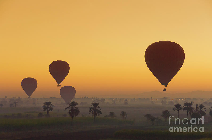 Hot air balloons at sunrise, Nile Valley, Egypt Photograph by Neale And Judith Clark
