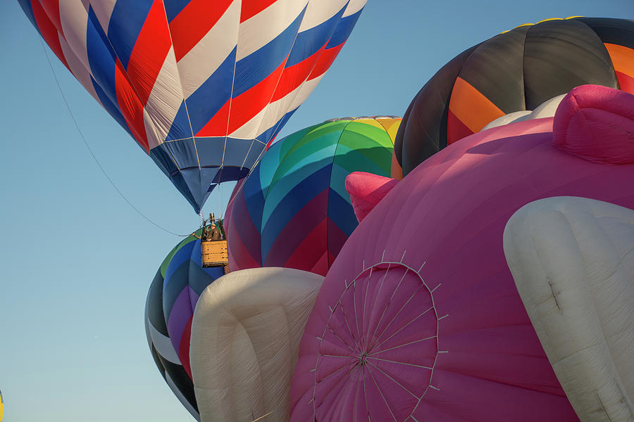Hot Air Balloons Photograph by Carolyn Hutchins