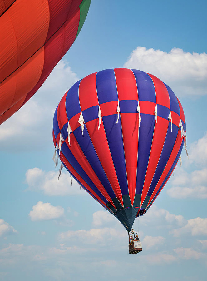 Hot Air Balloons in Flight Photograph by Mark Chandler - Fine Art America