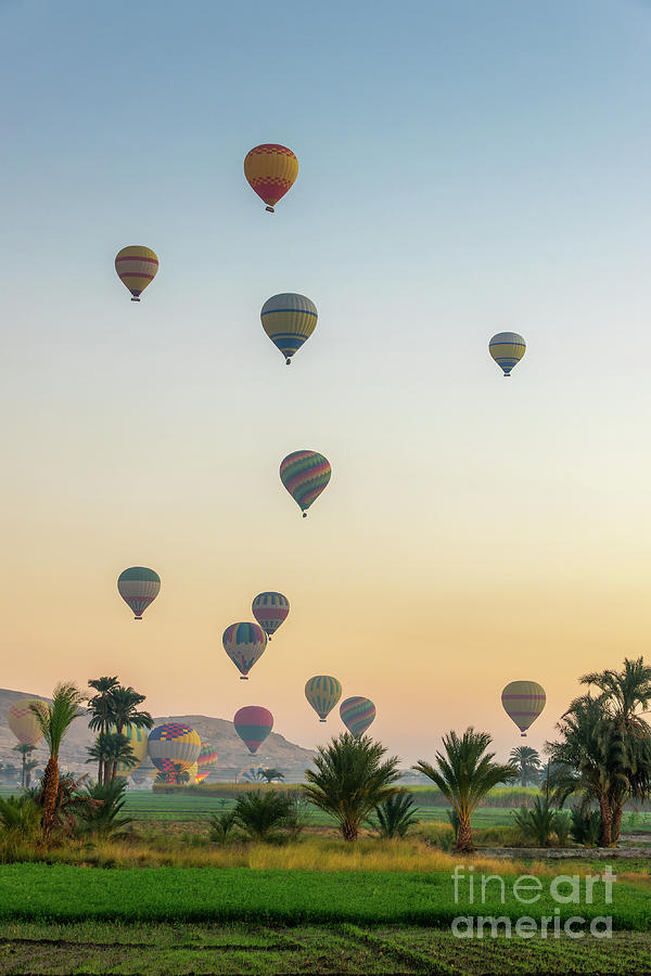 Hot air balloons near Luxor, Egypt Photograph by Delphimages Photo Creations